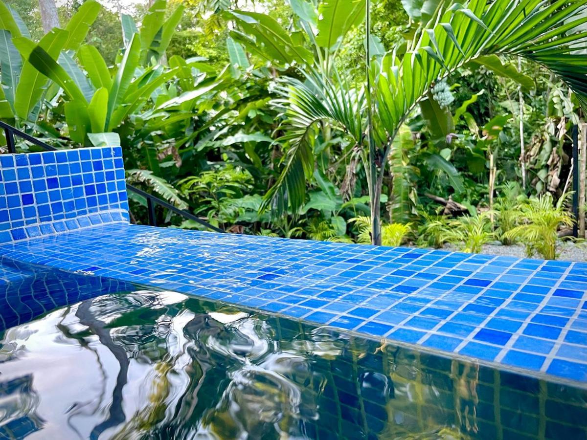 Villa Joeyshe- New Luxury Villa With Pool & Ac Puerto Viejo de Talamanca المظهر الخارجي الصورة